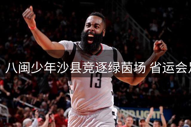 八闽少年沙县竞逐绿茵场 省运会足球赛点燃激情