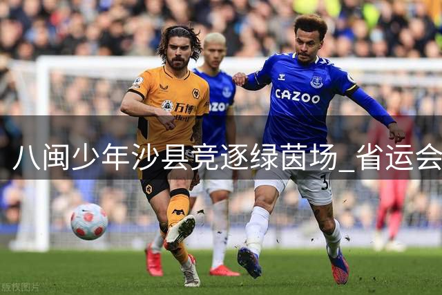 八闽少年沙县竞逐绿茵场 省运会足球赛点燃激情